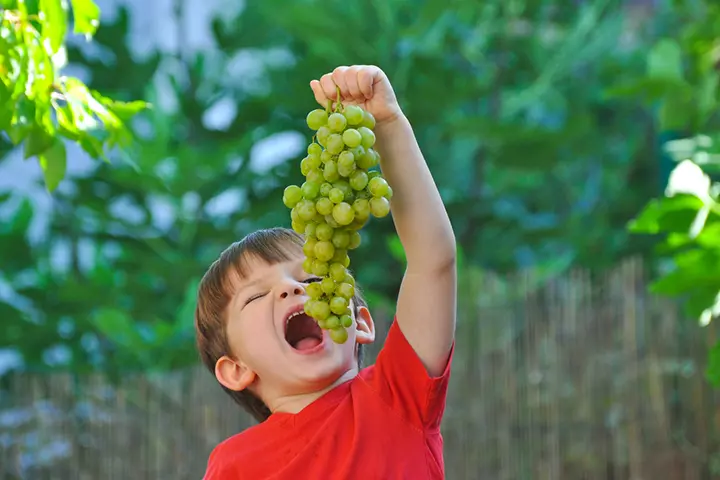 Grapes are rich in potassium