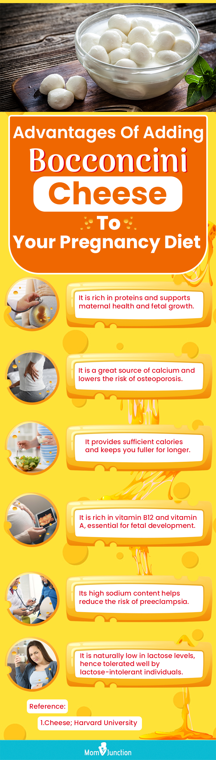 advantages of adding bocconcini cheese to your pregnancy diet (infographic)