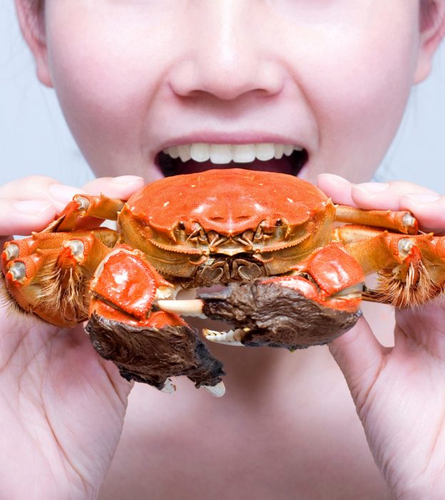 Is It Safe To Eat Crab During Pregnancy?
