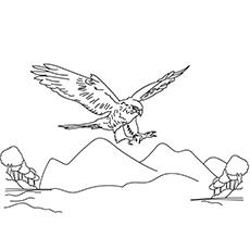 Merlin falcon coloring page