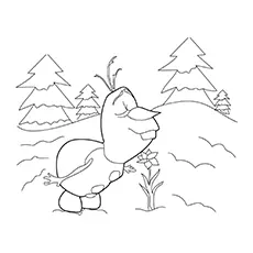 Olaf smelling the flower, Frozen coloring page