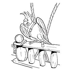 Parrot pirate coloring page