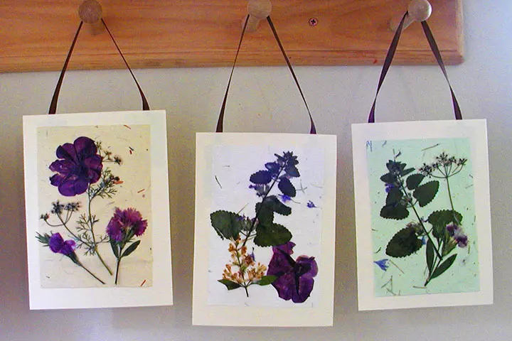 Pressed flower card ideas for Teachers' Day