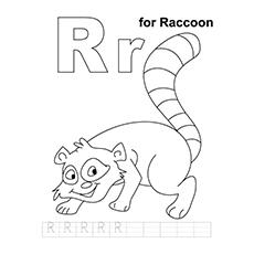 R-For-Raccoon