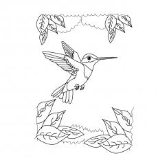 Ruby throated hummingbird coloring page