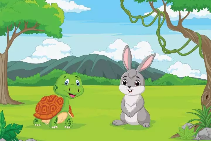 The Tortoise and The Hare