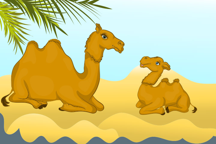 The camel and the baby story for kids