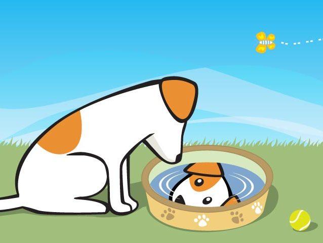 The dog at the well