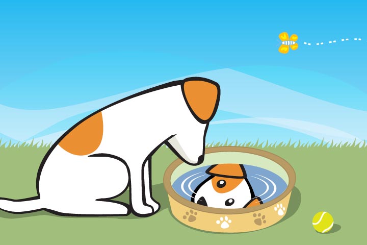 The dog at the well