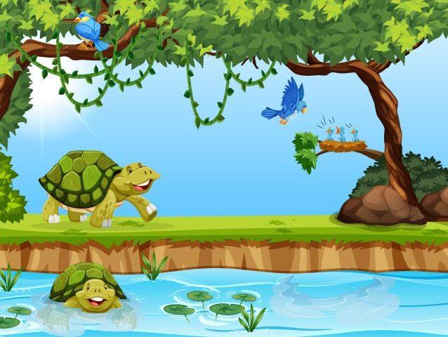 The tortoise and the bird