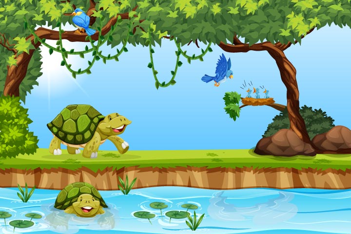 The tortoise and the bird story for kids