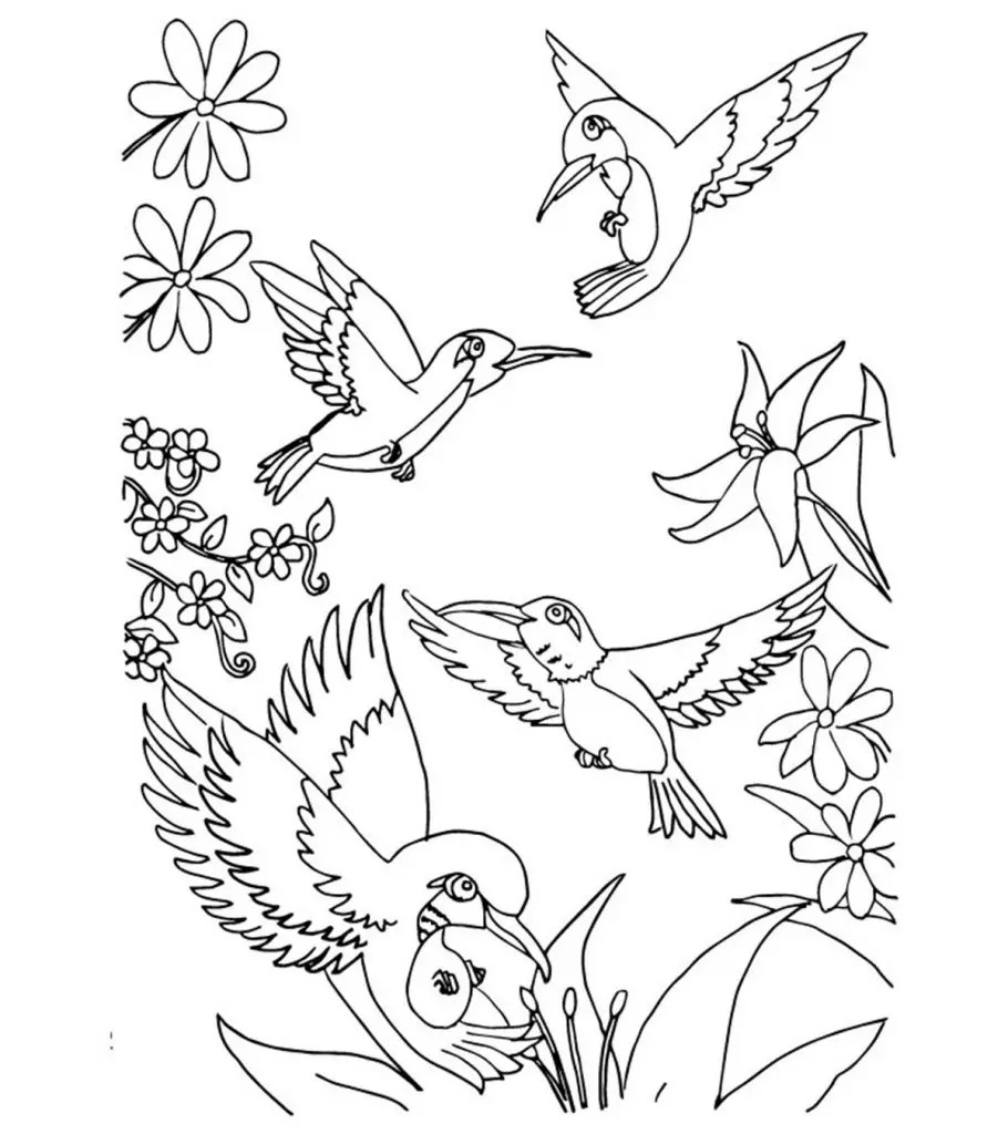 Top 20 Hummingbird Coloring Pages For Your Toddler
