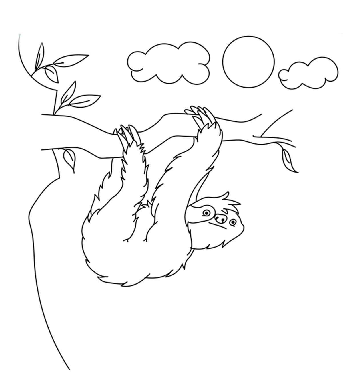 hard sloth coloring pages