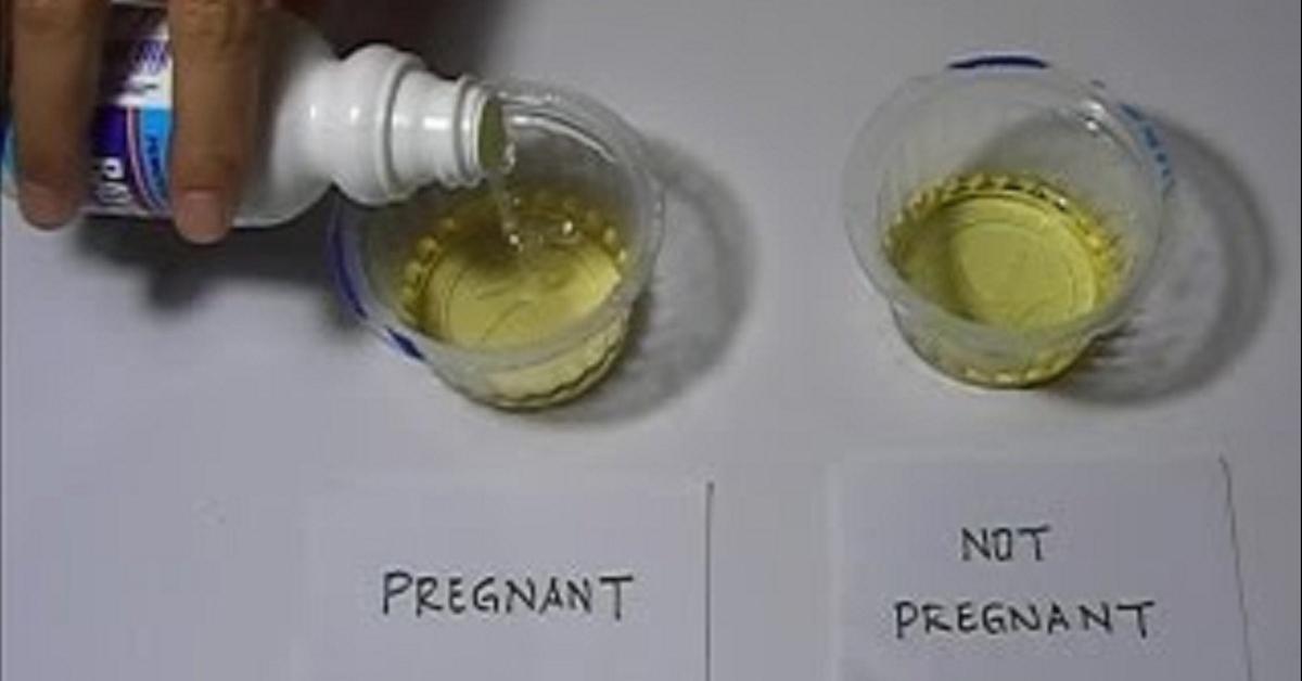 Image result for vinegar pregnancy test results