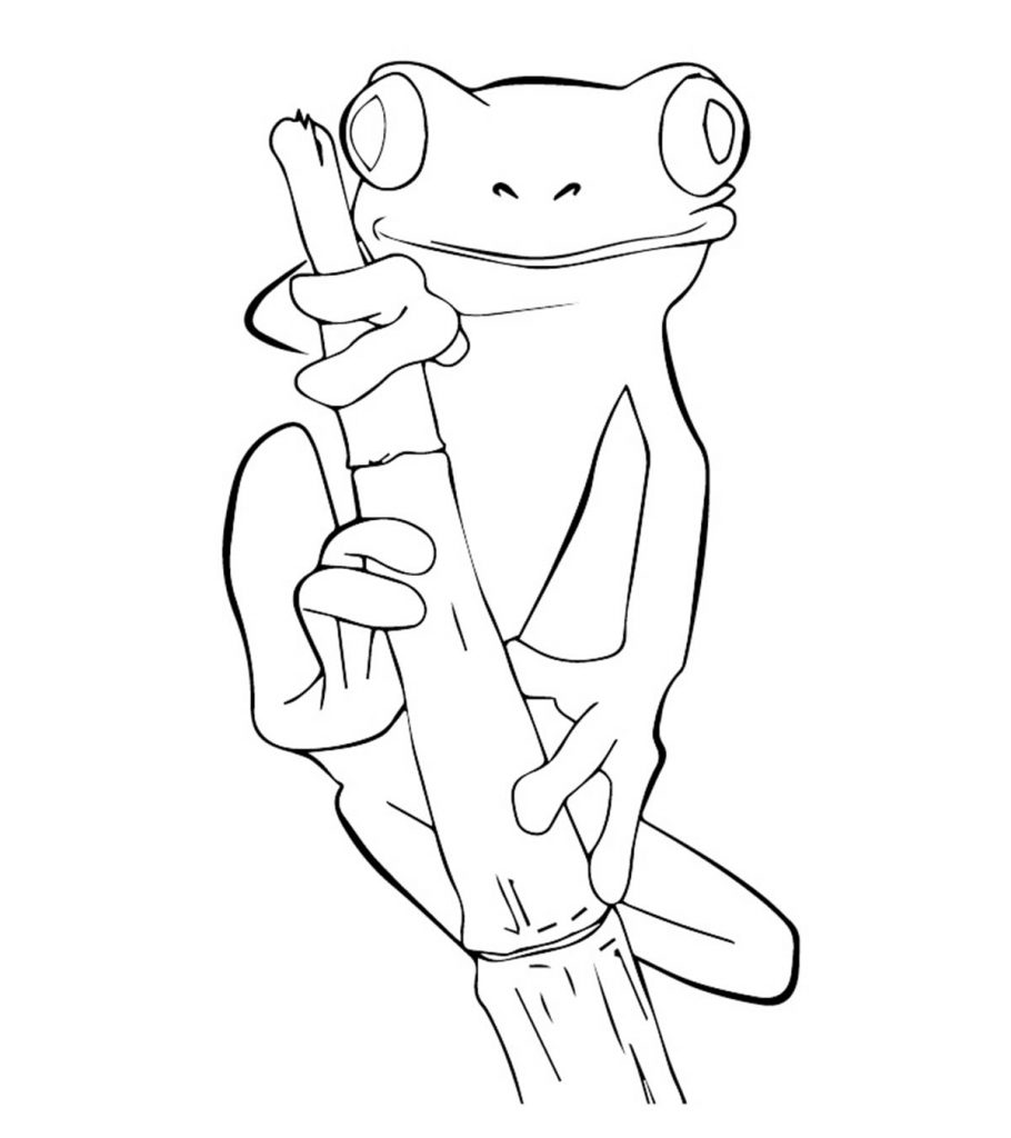 Baby Frog Coloring Pages