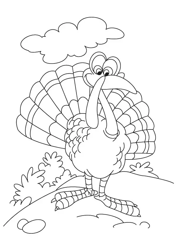 Animated-Turkey