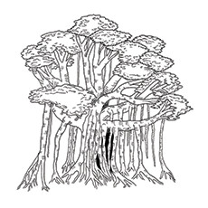 Banyan tree coloring page