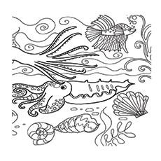 Coral barrier reef to coloring page