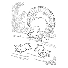 Bronze turkey coloring page
