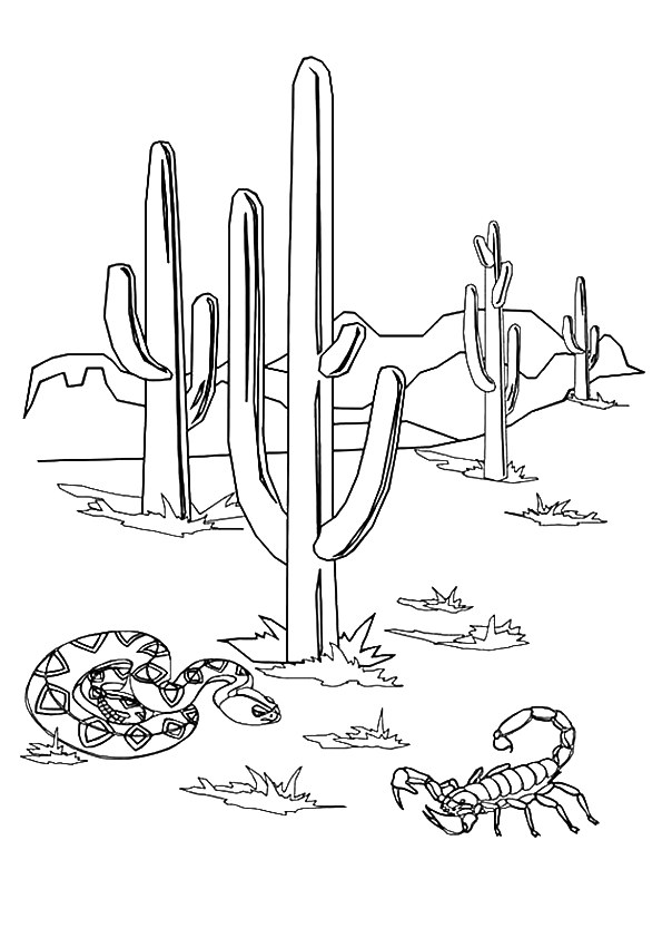 Cactus-Snake-And-A-Scorpion