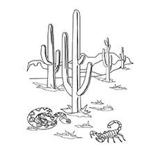 A Snake, a scorpion, and a cactus coloring page