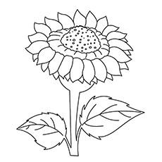 simple sunflower coloring pages