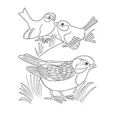 10 Cute Sparrow Coloring Pages For Your Little One