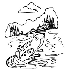 Coloring Page of Darwins Frog