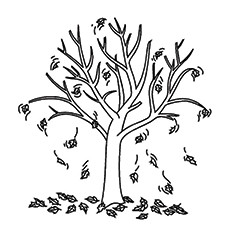 Fall tree coloring page