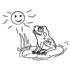 Frog basking in the sun coloring page