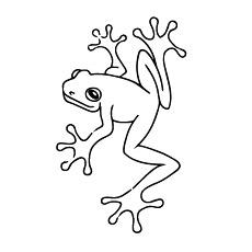 adult frog coloring pages