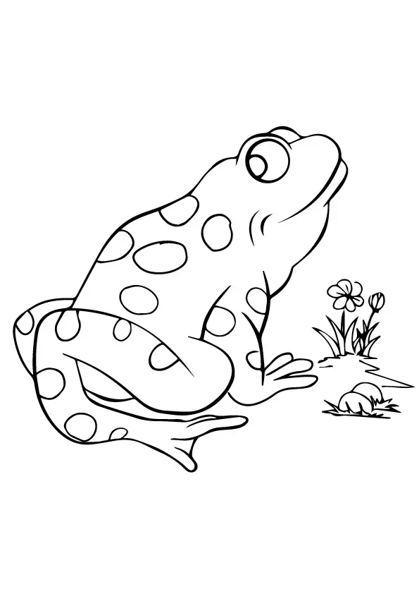 Goliath-Frog