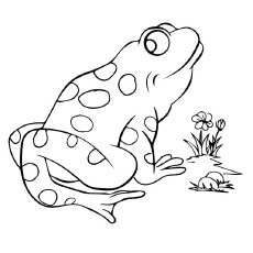 Goliath Frog coloring page