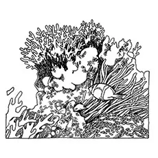 Honeycomb shaped coral picture coloring page_image