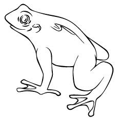 Horned pacman frog coloring page