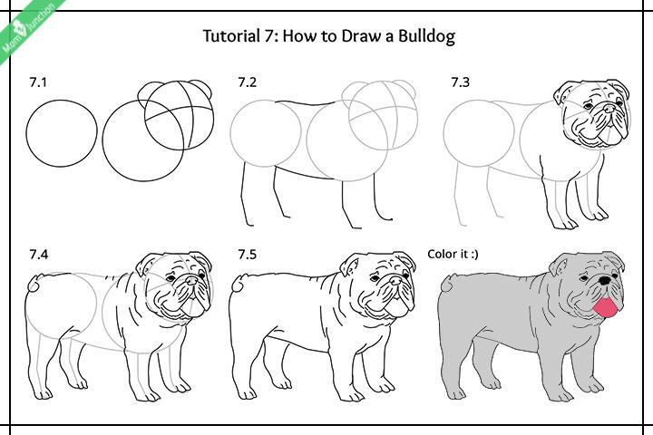 easy drawings of dogs for kids