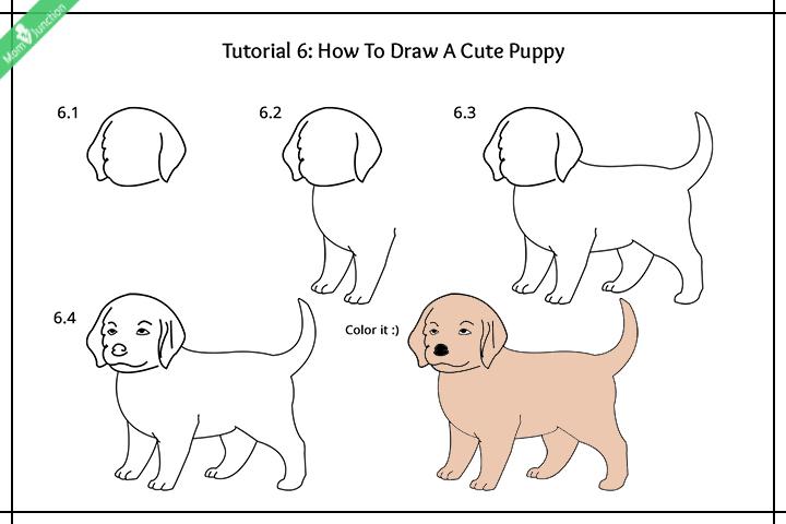 Step By Step Guide On How To Draw A Dog For Kids