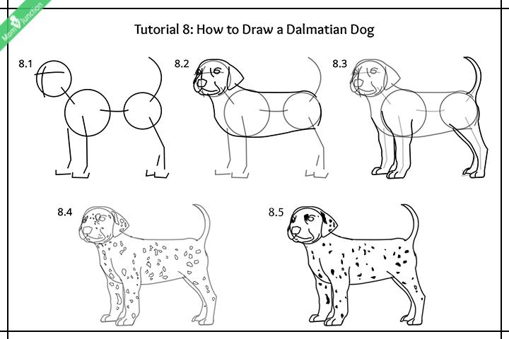 Step By Step Guide On How To Draw A Dog For Kids