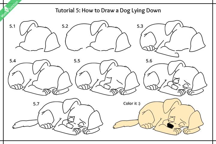 How To Draw A Dog Lying Down Images