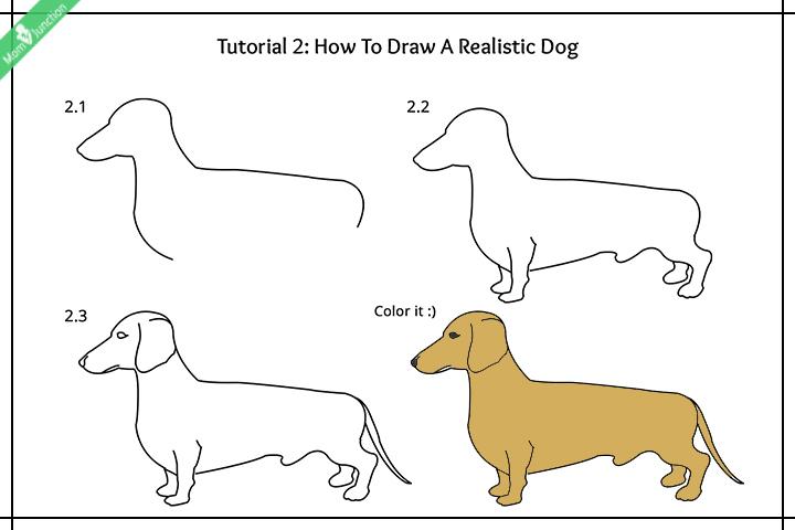 how to draw a cute husky puppy step by step