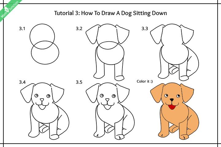 Step By Step Guide On How To Draw A Dog For Kids