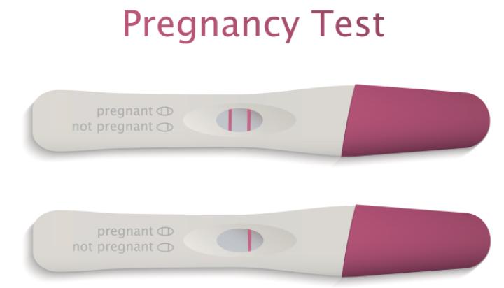 how do pregnancy tests work