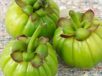 Is It Safe To Use Garcinia Cambogia While You Are Breastfeeding?