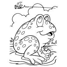 Lazy frog coloring page