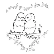 Lovebirds parrot coloring page
