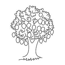 mango tree colouring pages