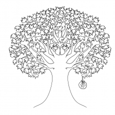 Maple tree coloring page