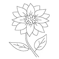 Maximilian sunflower coloring page