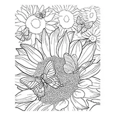 Moulin rouge sunflower coloring page