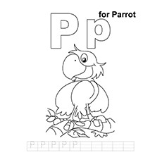 P-For-Parrot